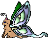 Flutter kitty