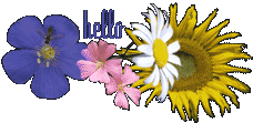 Hello