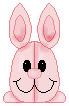 Bunny.